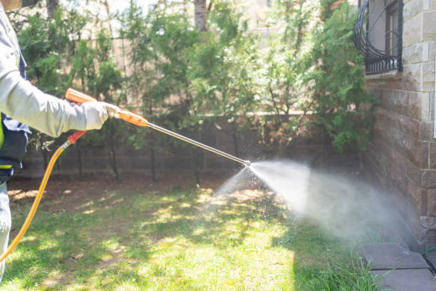 Best Lawn Pest Control  in Hart, TX